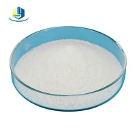 শহুরে নিকাশী চিকিত্সার জন্য CPAM Cationic Polyacrylamide পাউডার