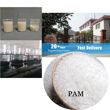 জলের জন্য Flocculant Anionic Polyacrylamide Hydrogel